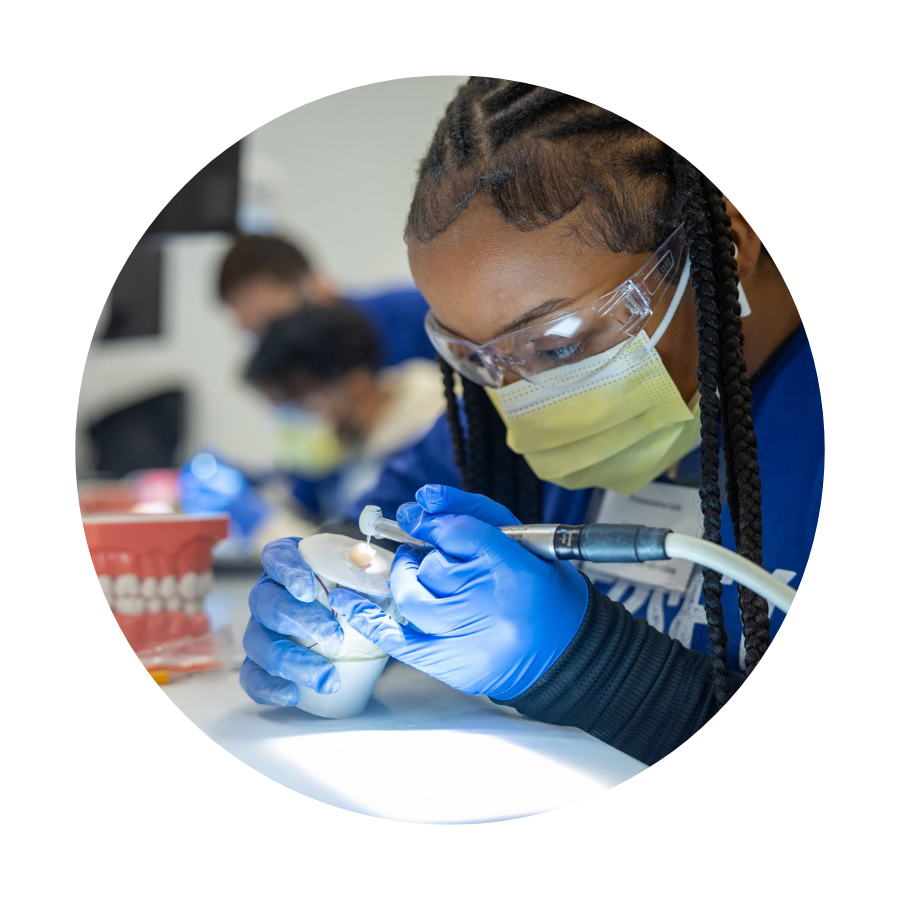 Working at dental lab Student working at dental lab at youth summit