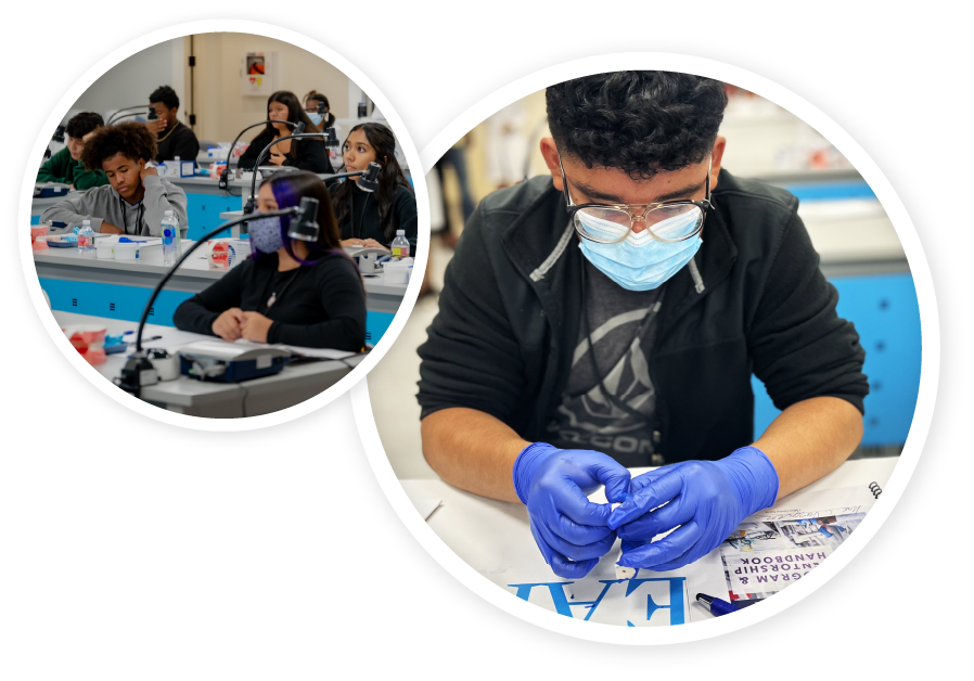 Left photo: dental mentee students sit in a classroom with dental learning equipment in front of them. Right photo: A dental mentee student wearing gloves and a mask is focused on the mould of teeth in their hands.